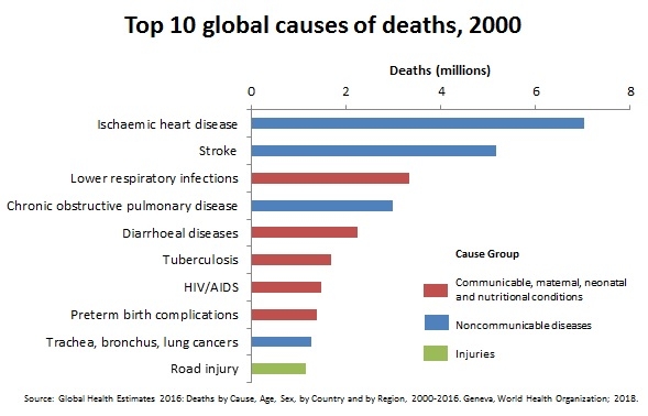 Top 10 global causes of deaths, 2000